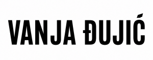 logo vd za sajt